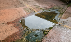 Stagnerend water door slechte afwatering op hellingbaan Waterplas in verzakking op beschadigde hellingbaan met begroeiing en scheuren.